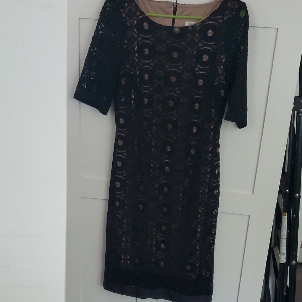 Black Lace Dress with Nude Lining